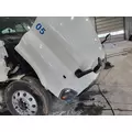 FREIGHTLINER CASCADIA 125 2008-2020 HOOD thumbnail 2