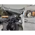 FREIGHTLINER CASCADIA 125 2008-2020 HOOD thumbnail 6