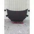 FREIGHTLINER CASCADIA 125 2008-2020 HOOD thumbnail 10