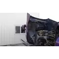 FREIGHTLINER CASCADIA 125 2008-2020 HOOD thumbnail 4
