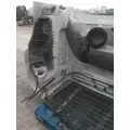 FREIGHTLINER CASCADIA 125 2008-2020 HOOD thumbnail 15