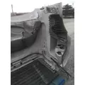 FREIGHTLINER CASCADIA 125 2008-2020 HOOD thumbnail 16