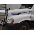 FREIGHTLINER CASCADIA 125 2008-2020 HOOD thumbnail 3