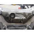 FREIGHTLINER CASCADIA 125 2008-2020 HOOD thumbnail 9