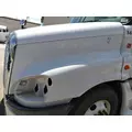 FREIGHTLINER CASCADIA 125 2008-2020 HOOD thumbnail 4