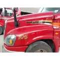 FREIGHTLINER CASCADIA 125 2008-2020 HOOD thumbnail 4