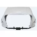 FREIGHTLINER CASCADIA 125 2008-2020 HOOD thumbnail 2