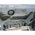 FREIGHTLINER CASCADIA 125 2008-2020 HOOD thumbnail 13