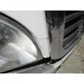 FREIGHTLINER CASCADIA 125 2008-2020 HOOD thumbnail 5