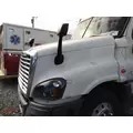 FREIGHTLINER CASCADIA 125 2008-2020 HOOD thumbnail 3
