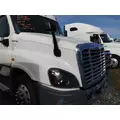 FREIGHTLINER CASCADIA 125 2008-2020 HOOD thumbnail 5