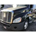 FREIGHTLINER CASCADIA 125 2008-2020 HOOD thumbnail 1