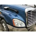 FREIGHTLINER CASCADIA 125 2008-2020 HOOD thumbnail 3