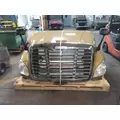 FREIGHTLINER CASCADIA 125 2008-2020 HOOD thumbnail 12