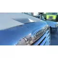 FREIGHTLINER CASCADIA 125 2008-2020 HOOD thumbnail 3