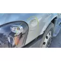 FREIGHTLINER CASCADIA 125 2008-2020 HOOD thumbnail 2