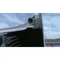 FREIGHTLINER CASCADIA 125 2008-2020 HOOD thumbnail 9