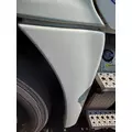 FREIGHTLINER CASCADIA 125 2018UP FENDER EXTENSION thumbnail 2