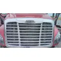 FREIGHTLINER CASCADIA 125 2018UP GRILLE thumbnail 1