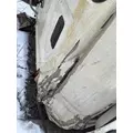FREIGHTLINER CASCADIA 125BBC Cab thumbnail 24