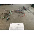 FREIGHTLINER CASCADIA 125BBC Engine Wiring Harness thumbnail 1
