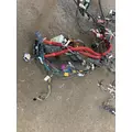 FREIGHTLINER CASCADIA 125BBC Engine Wiring Harness thumbnail 6