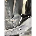 FREIGHTLINER CASCADIA 125BBC Radiator Core Support thumbnail 2