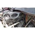 FREIGHTLINER CASCADIA 125 AIR CLEANER thumbnail 1