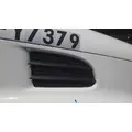 FREIGHTLINER CASCADIA 125 AIR INTAKE LOUVERCOVER thumbnail 1