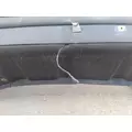 FREIGHTLINER CASCADIA 125 BUMPER ASSEMBLY, FRONT thumbnail 7