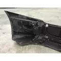 FREIGHTLINER CASCADIA 125 BUMPER ASSEMBLY, FRONT thumbnail 7