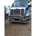 FREIGHTLINER CASCADIA 125 BUMPER BRUSH GUARD thumbnail 1