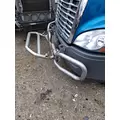 FREIGHTLINER CASCADIA 125 BUMPER BRUSH GUARD thumbnail 2