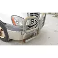 FREIGHTLINER CASCADIA 125 BUMPER BRUSH GUARD thumbnail 2