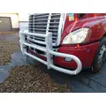 FREIGHTLINER CASCADIA 125 BUMPER BRUSH GUARD thumbnail 1