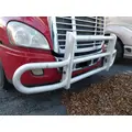 FREIGHTLINER CASCADIA 125 BUMPER BRUSH GUARD thumbnail 2