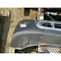 FREIGHTLINER CASCADIA 125 Bumper Assembly, Front thumbnail 4