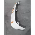 FREIGHTLINER CASCADIA 125 CAB CLIP thumbnail 4