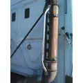 FREIGHTLINER CASCADIA 125 CAB HANDLE thumbnail 1