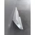 FREIGHTLINER CASCADIA 125 CAB SKIRTSIDE FAIRING thumbnail 4