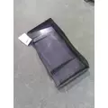FREIGHTLINER CASCADIA 125 CAB SKIRTSIDE FAIRING thumbnail 4
