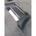 FREIGHTLINER CASCADIA 125 CAB SKIRTSIDE FAIRING thumbnail 2