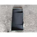 FREIGHTLINER CASCADIA 125 CAB SKIRTSIDE FAIRING thumbnail 4