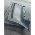 FREIGHTLINER CASCADIA 125 CAB SKIRTSIDE FAIRING thumbnail 8
