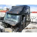 FREIGHTLINER CASCADIA 125 CAB thumbnail 5