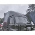 FREIGHTLINER CASCADIA 125 CAB thumbnail 2