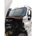 FREIGHTLINER CASCADIA 125 CAB thumbnail 1