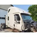 FREIGHTLINER CASCADIA 125 CAB thumbnail 2