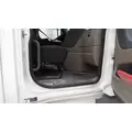 FREIGHTLINER CASCADIA 125 CAB thumbnail 19