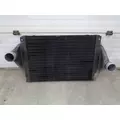 FREIGHTLINER CASCADIA 125 CHARGE AIR COOLER (ATAAC) thumbnail 2